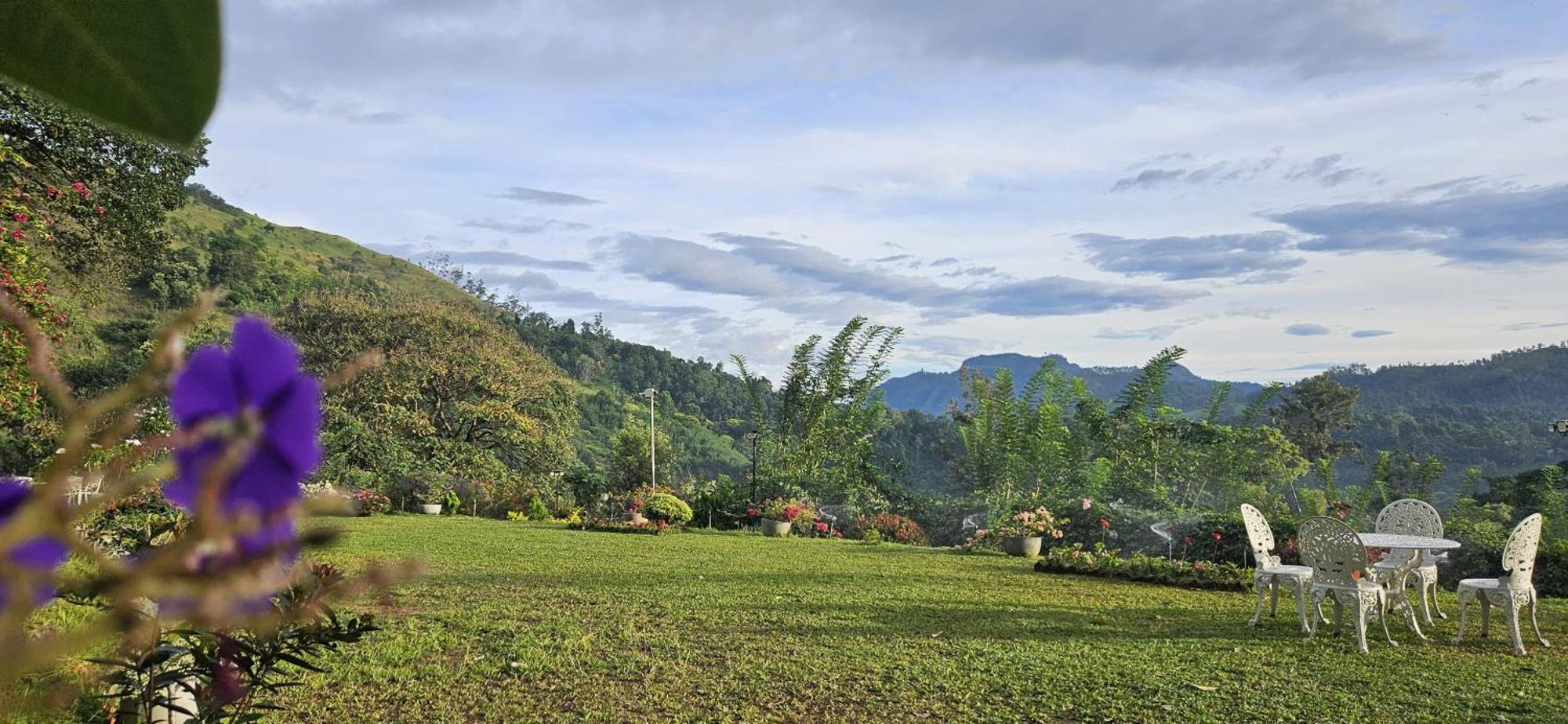 Sithara Estate Bungalow Ella Ngoại thất bức ảnh