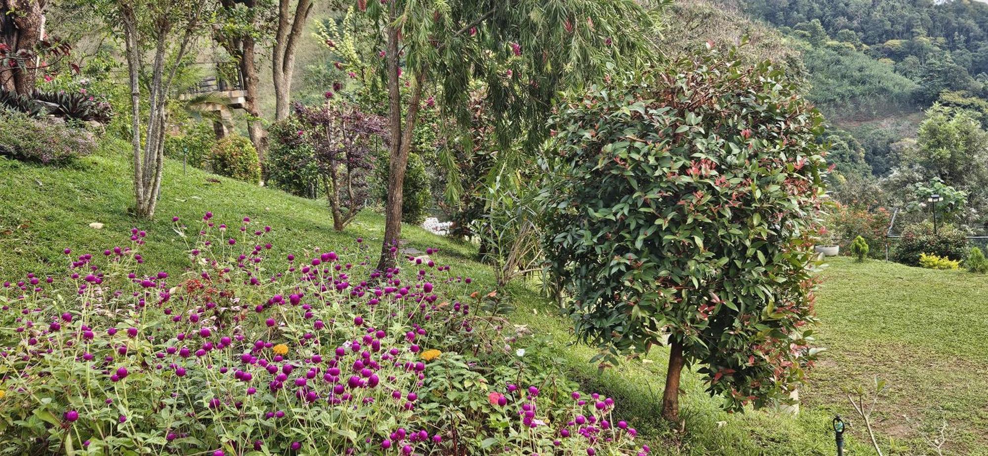 Sithara Estate Bungalow Ella Ngoại thất bức ảnh