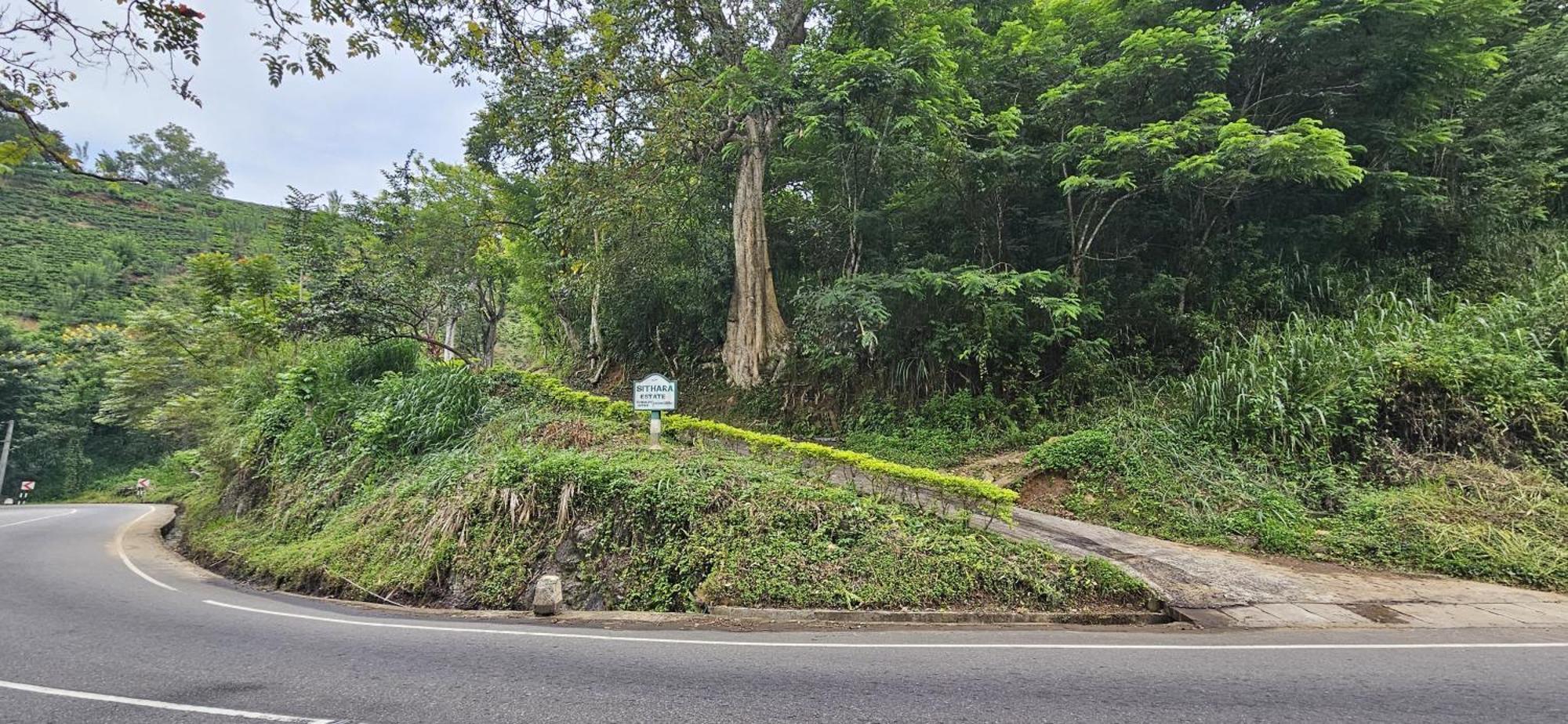 Sithara Estate Bungalow Ella Ngoại thất bức ảnh
