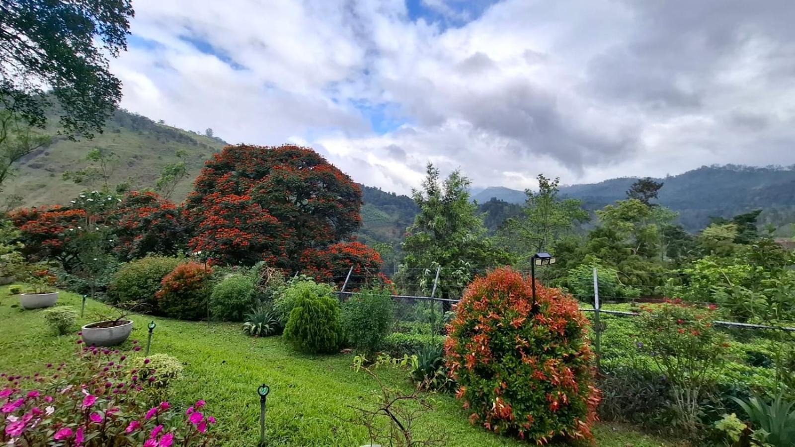 Sithara Estate Bungalow Ella Ngoại thất bức ảnh